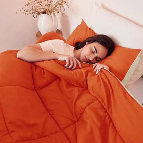 Image of Exclusivo Mezcla Lightweight Summer Reversible King Size Comforter Set, Down Alternative Comforter with 2 Pillow Sham, King Size Bedding Set for All Seasons, Burnt Orange /Brich Beige