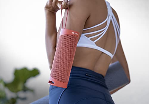Sony SRS-XB23 | Enceinte Portable EXTRA BASS Bluetooth Stéréo, Sans Fil, résistante aux chocs, étanche pour Plage et Piscine, Rouge Fusion
