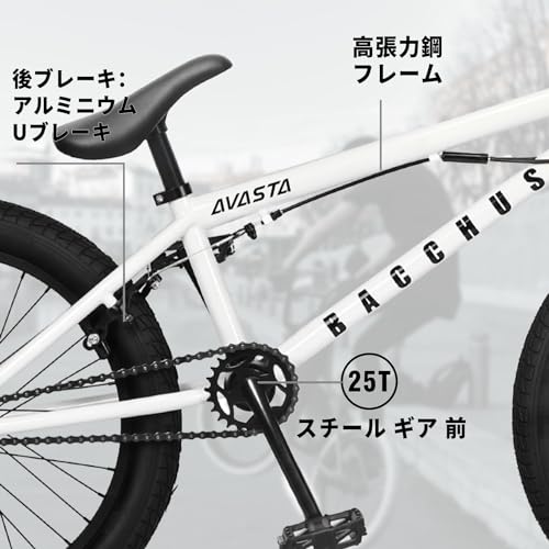 AVASTA BucchusBMX 20インチ