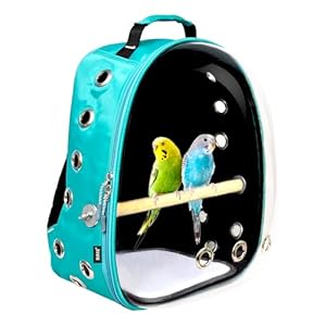 BURAQ Bird Carrier Backpacks Astronaut Space Transparent Capsule Breathable Airline-Approved, Ventilated Bag for Travel, Hiking and Outdoor for Birds Puppies & Cats (SEA Green)