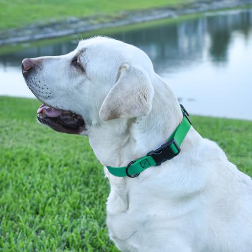 Image of Dogline Biothane Waterproof Dog Collar with Quick Release Buckle Strong Coated Nylon Webbing with Odor- Proof for Easy Care Easy to Clean Fits Small Medium or Large Dogs, Teal 3 /4 inch W 12-19 inch L