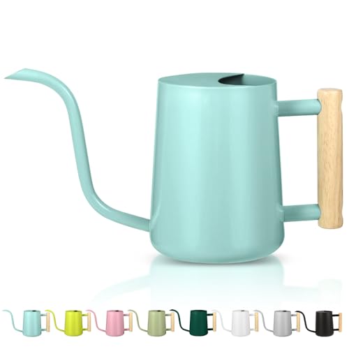 GUKJOB - Watering Can Indoor Plants, 35oz Small Stainless Steel Metal Watering Can Modern Decorative Watering Pot with Long Spout for Indoor House Plant Bonsai Garden Flowers (Green)