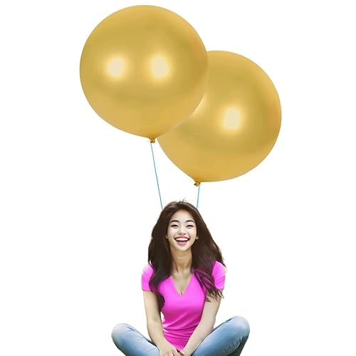 GerRiT 24C` ebNX Eho[ 10pbN S[h  啗D ʐ^Be  xr[V[ ap[eB[fR[V