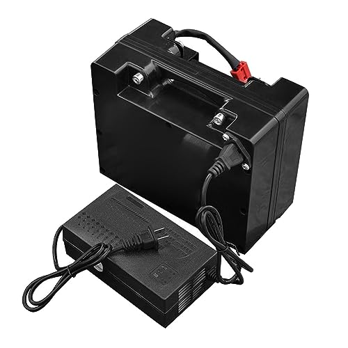 XSDAJSD Batería de Litio para Silla de Ruedas eléctrica de 24 V (12 Ah, 15 Ah, 18 Ah, 20 Ah, 25 Ah, 30 Ah, 35 Ah, 40 Ah, 45 Ah y 50 Ah) con Cargador para Motor de 200 W a 1200 W.