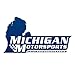 Michigan Motorsports LS1 Cylinder Head Gaskets 4.8, 5.3, 5.7, Turbos MLS Multi Layer Pair