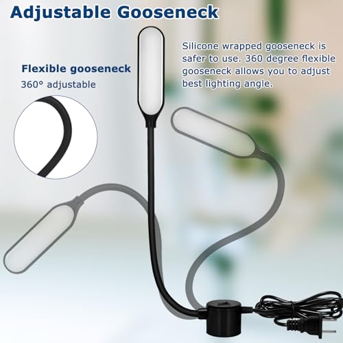 Variant 5