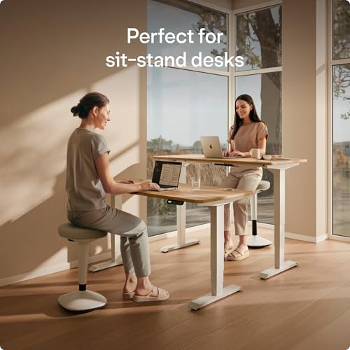 Image of Desktronic Ergonomic Office Chair - Adjustable Desk Chair with Lumbar Support, Headrest, Armrests, Breathable Mesh Back, Height Adjustment, Comfortable Home Office Chair for Long Hours