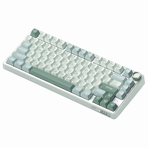 RK ROYAL KLUDGE ���J�j�J���L�[�{�[�h GASKET�\�� �����E�L��3���[�h�Ή� Bluetooth/2.4GHz/Type-C RGB�o�b�N���C�g 75%�z�� 3750mAh�o�b�e���[ PBT�L�[�L���b�v �z�b�g�X���b�v ���ʃm�u�t�� Wi