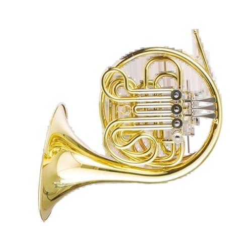 lp[tHjA vtFbViBB_uE4L[t`zS[hbJ[dグ