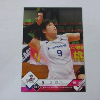 Vプレミアリーグ女子　直筆サイン入り　ポスター　抽選当選品　女子バレー Vプレミアリーグ女子 直筆サイン入り ポスター 抽選当選品 女子
