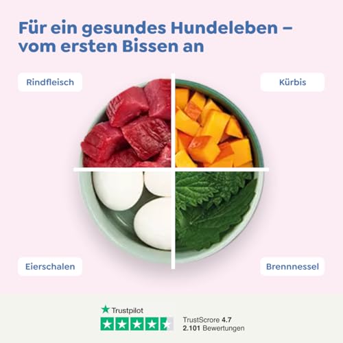 WOW Dog Welpen-Nassfutter mit Rind | für Junior Hunde, mit hohem Fleischanteil, getreidefrei | 150 g / 22er Pack