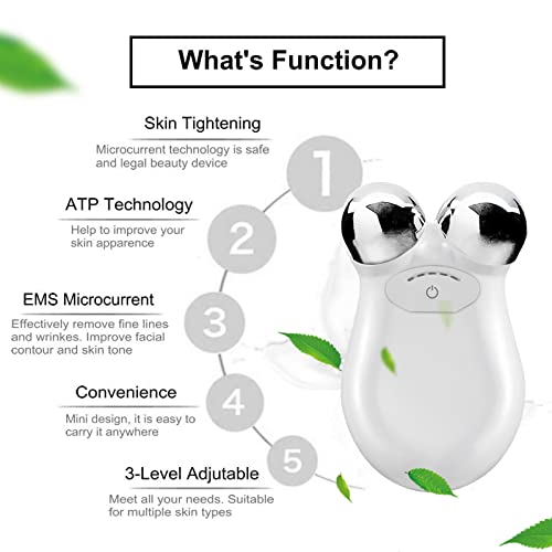 Microcurrent Face Device Roller, 2023 New Lift The Face And Tighten The Skin, Usb Mini Microcurrent Face Lift Skin Tightening Rejuvenation Spa For Facial Wrinkle Remover Toning Device-(White) #TOP3