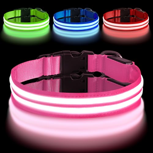 AUAUY Collare Luminoso per Cani, Collare Luminoso per Cani Ricaricabile USB, Collare per Cani a LED Regolabile Lmpermeabile con 3 Modalità D'ardore, per Cani di Taglia Media(M, Rosa)