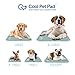 The Green Pet Shop Cool Pet Pad - Extra Large, Sage Grey - Self-Cooling, Pressure Activated Mat for Dogs & Cats from 9-20 lbs - Non-Toxic Gel, No Water Needed