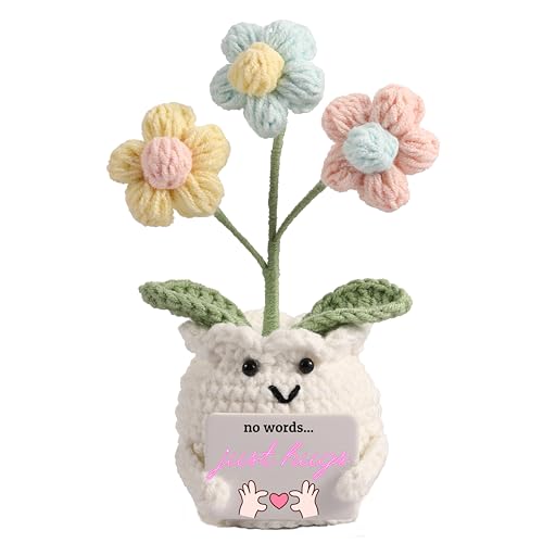 YOOJEE Crochet Sympathy Gifts for Loss of Loved One No Words Just Hugs Crochet Puff Flower Plant Bereavement Memorial Get Well Soon Grief Gift Idea for Loss of Grandpa Grandma Mom Dad