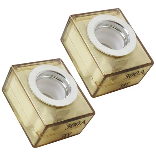 RGNEIN for Marine & RV Batt-ery Protection - 300A 58V MRBF