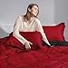 Basic Beyond Queen Comforter Set, Red and Black Comforter Set Queen Size, Reversible Bed Comforter Queen Bed Set for All Seasons, 1 Comforter (88