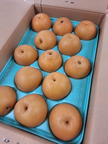 y_zȖ، a ږ삳̗iɂji9`13j5kgy①z