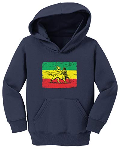 Tcombo Lion Flag - Rasta Jamaica Country Pride Toddler/Youth Fleece Hoodie2