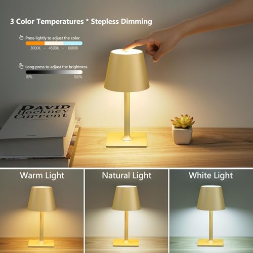 2-Pack-Rechargeable-Table-Lamps-Gold-Cordless-Lamps-Battery-Operated-Touch-Lamp-Outdoor-Table-Lights-Waterproof-Wireless-Portable-Desk-Lamp-for-Restaurant-Bedroom-PatioGold