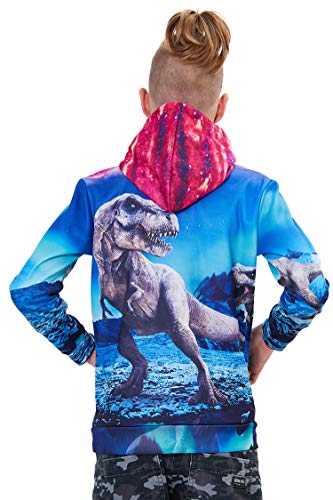 Boys Sweatshirts 3D Print Dinosaur Hoodies Size 12-13 Hoodie Pullover Without Fleece Long Sleeve #TOP2