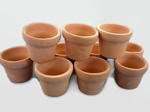 10 Dollhouse Miniature Terracotta Flower Cactus Pots