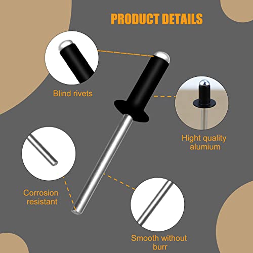 Blindnieten Alu Nieten Popnieten Set 4.8 mm x 10 mm Blindnieten Sortiment Großkopf Schwarz Pop Nieten 100 Stück Niete Anthrazit Dome Niet für Rivet Tool Blindnietzangen (4.8mm x 10mm)