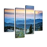 YKing1 Scenic Blue Ridge Parkway Appalachians Smoky Mountains Spring Landscape Wall Art Painting...