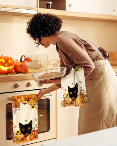 Image of Miss Adola 150GSM Flour Sack Kitchen Towels Set of 2, Cat in Pumpkins