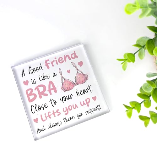 Red Ocean Friendship for Women Best Friend Birthday Acrylic Friendship Plaques For Christmas Thank You Presents Women Friends Sister Bestie BBF