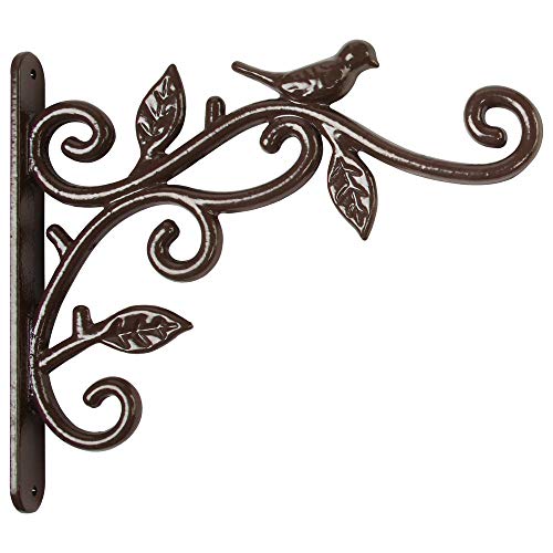 9.96 in. x 1.02 in. x 8.66 in. Coffee Brown Iron Deco Plant Bracket with Bird