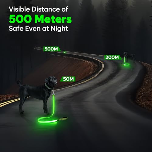 Kpuplol LED-Hundeleine für nächtliche Spaziergänge, wiederaufladbar, wiederaufladbar, reflektierend, leuchtet im Dunkeln, mit gepolstertem Griff, Sicherheits-Leine für kleine, mittelgroße und große