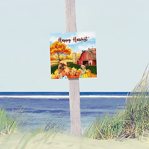 Panneau en bois rustique de 30 cm Happy Harvest pour décoration murale salon - 5