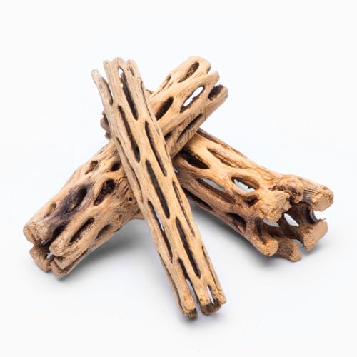 SubstrateSource Natural Cholla Wood - Driftwood for Aquariums, Air Plant Base, Hermit Crab and Freshwater Shrimp Hideout, Fish Tank Decoration, Chinchilla Chews, Reptile Habitat Wood - 6 Inch, 2pc