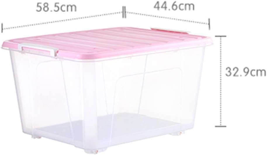 contenitore di stoccaggio trasparente per lattice