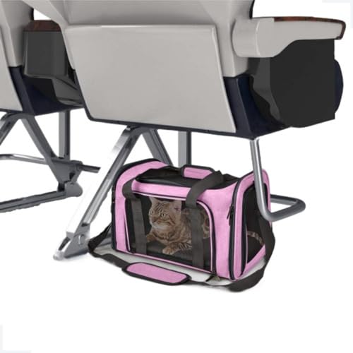 Bolsa De Transporte Pet Reforçada 50x35x32 Viagem Cabine Avião Carro Cão Gato