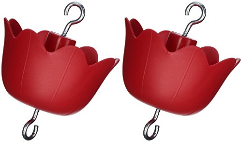 Best Ant Guard For Bird Feeders