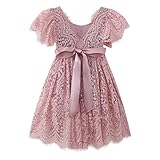 Toddler Girls Princess Lace Tutu Tulle Short Sleeve Wedding Pageant Party Formal Puffy Dresses (Dusty Pink, 4T)