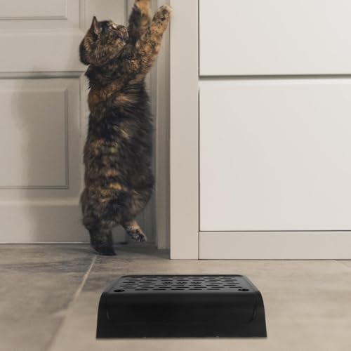 Rampette de litière pour chat entrée pratique salon propre