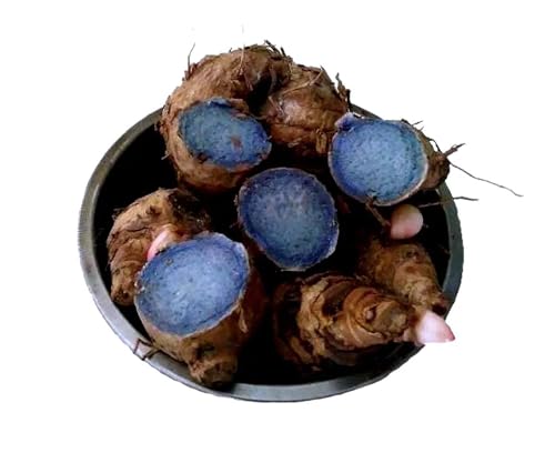 Image of Black Turmeric Seeds | 100 g