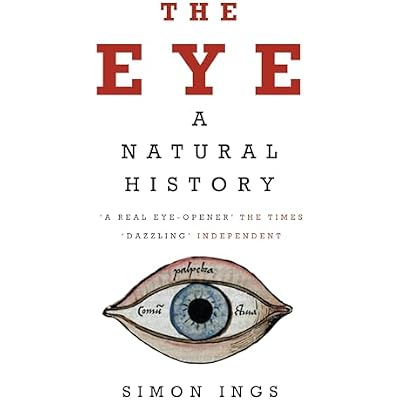 The Eye