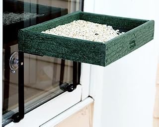 Audubon Going Green Window Bird Feeder – Recycled Plastic Platform Feeder for Mealworms, Seed, or Suet – Attaches to Window with Suction Cups – 0.85 Quart Capacity – Eco-Friendly Bird Feeder