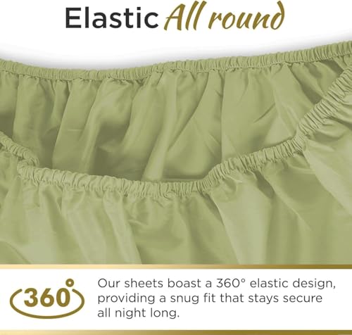 Image of Twin XL Cotton Jersey Sheet Set, Soft & Comfy, Hospital, Sage Green