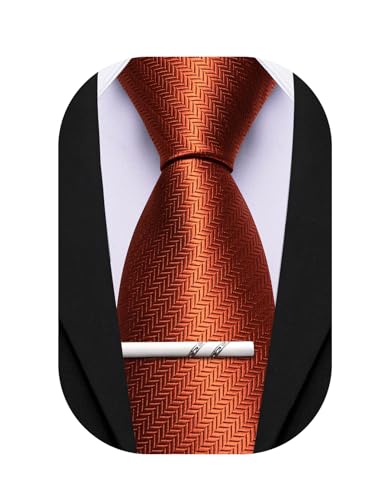 Image of Barry.Wang Silk Men Ties Formal Stripes Necktie and Tie Clip for Wedding Party Business Fashion Classic