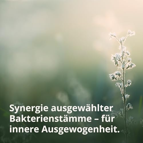 BodyFokus SynBiotik Vital Aktiv | spezielle Bakterienstämme & Präbiotika - natürliche Inhaltsstoffe - enthält Calcium - 60 Kapseln - in Deutschland hergestellt