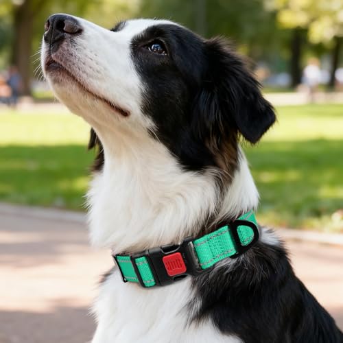 Image of Taglory Reflective Dog Collar for Medium Dogs, Soft and Safe for Daily Walk