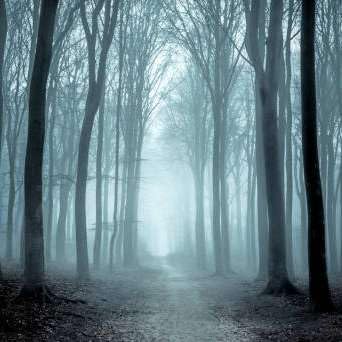 S1E1 - My Personal Story