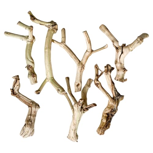 Ruarby Grotte en bois flotté naturel pour reptiles pour animaux de compagnie - Tronc réaliste pour lézards - Décoration en bois naturel