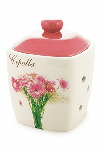 GALILEO 2168929 Gerbera Barattolo Cipolla in