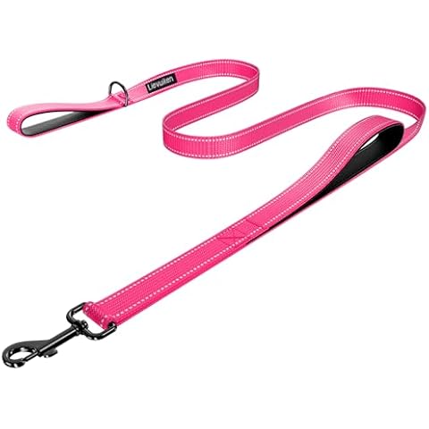 LIEVUIKEN Dog Leash 6ft Long, Double Handle Dog Leash for Safety Control Training, Heavy Duty Dog Leads with Traffic Padded Handles, Reflective Leashes for Small Medium Large Dogs(6ft, Hotpink) Cover